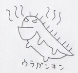 ウラガンキンとは ウラガンキンとは 単語記事 ニコニコ大百科