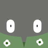 ミノマダムとは ミノマダムとは 単語記事 ニコニコ大百科
