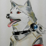 コロマルとは 単語記事 ニコニコ大百科