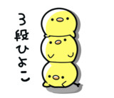 ひよこちゃんとは ヒヨコチャンとは 単語記事 ニコニコ大百科