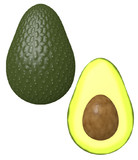 アボカドとは アボカドとは 単語記事 ニコニコ大百科