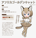キンイロジャッカル けものフレンズ とは ケモノフレンズノキンイロジャッカルとは 単語記事 ニコニコ大百科