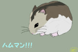 ハム語とは ハムゴとは 単語記事 ニコニコ大百科