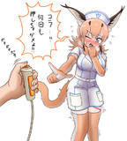 マーコール けものフレンズ とは ケモノフレンズノマーコールとは 単語記事 ニコニコ大百科