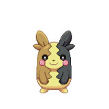 モルペコとは 単語記事 ニコニコ大百科