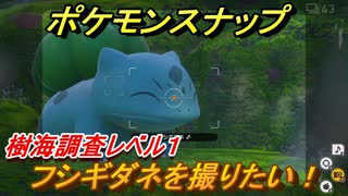 New ポケモンスナップ 全157件 ミミッキュさんのシリーズ ニコニコ動画